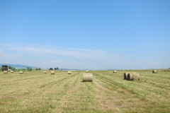 2013-prevadzka-16-IMG_5801