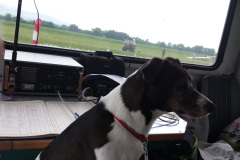 2016-prevadzka-02-20160521_123229